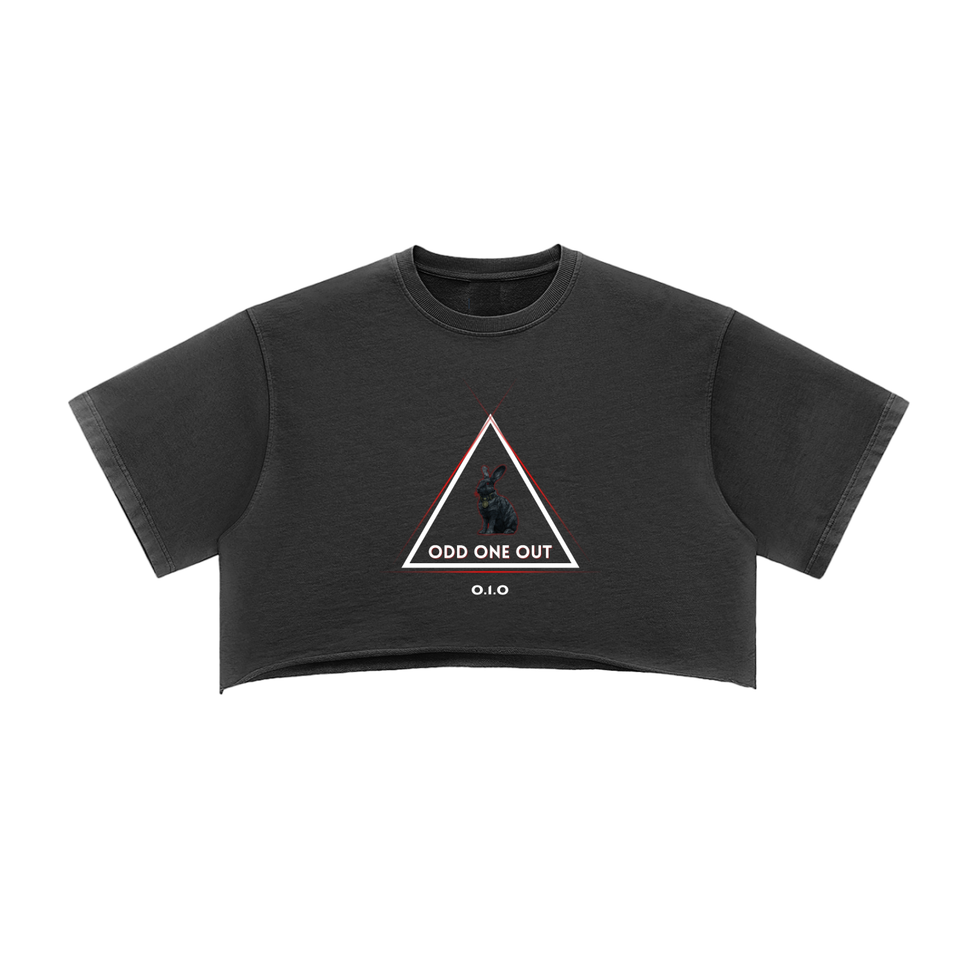 Women's Snow Washed Raw Edge Crop Top
